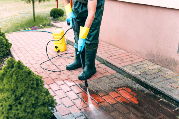 Best Gutter Cleaning and Brightening in Haddon Heights, NJ